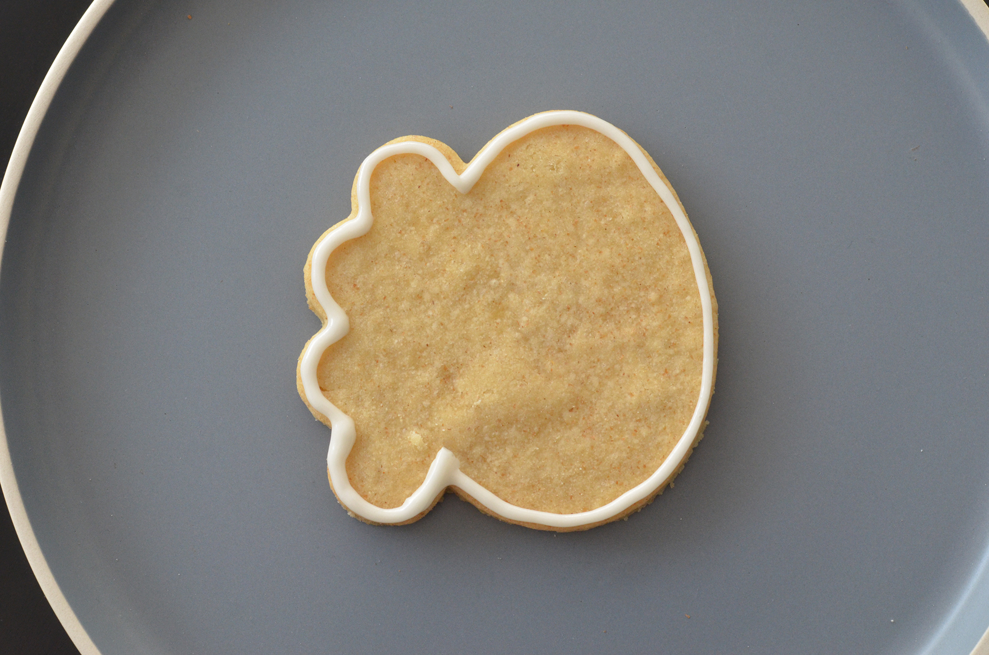 PYO Cookie - Biscuits à peindre