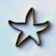 Starfish cookie cutter