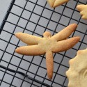 dragonfly cookie cutter