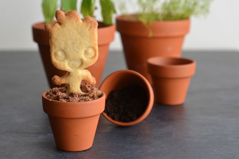 Muffins choco-noisette et sablé à la vanille