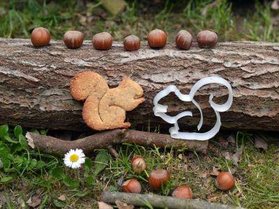 Sablés à la noisette