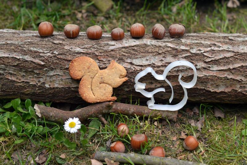 Sablés à la noisette